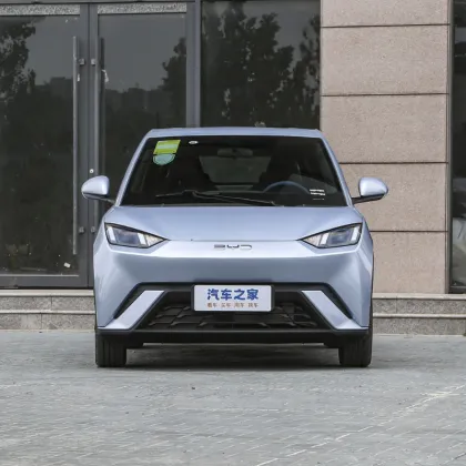 2025 BYD Seagull New Energy Vehicle: Small Adult Car Overview