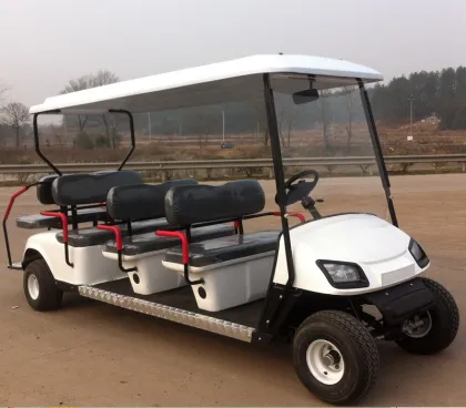 Gasoline Golf cart sightseeing cars/bus