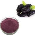 Black Mulberry Extract Anthocyanin