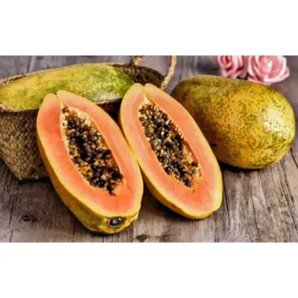 Enriched Papaya Extract Packed with Vitamins and Amino Acids