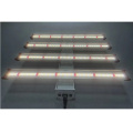 600W 4BAR Full Spectrum LED Wachsen Licht