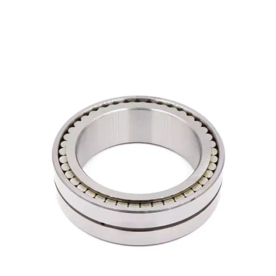 SL185019, SL185020, SL185022, SL185024: Double Row Cylindrical Roller Bearings with Stops