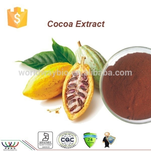 Hot 2015 competitive price cocoa seed extract powder , coca powder , cocoa extract Catechin