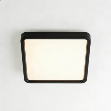 Ceiling lamp with wide light