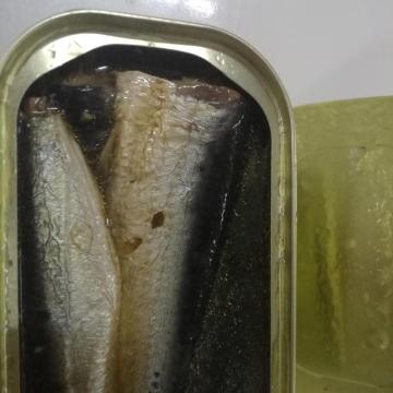 Sardine In Pflanzenöl Dosenfisch