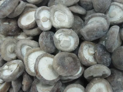 Brc Delicious Freezing Fresh Mushrooms , Iqf Mushrooms For Supermarkets