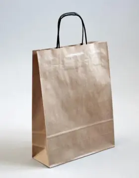 Brown kraft paper bag recycled
