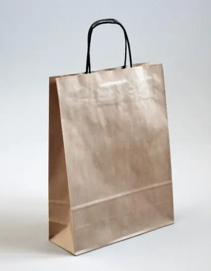 Brown kraft paper bag recycled