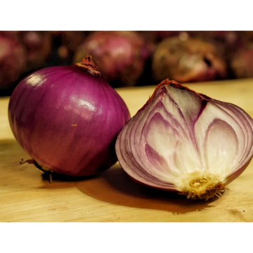 Allium Cepa L. Onion Extract