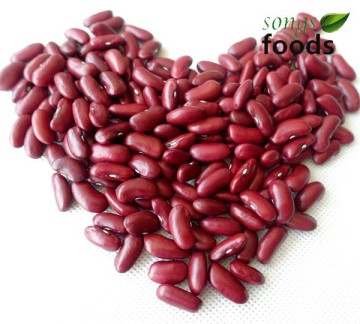 Red Kidney Beans Specification 200-220pcs/100g