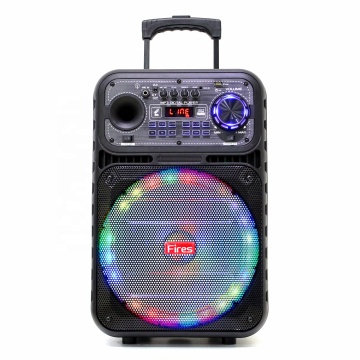 12 Inch Portable Subwoofer Speaker for Home Theatre and Wireless Karaoke