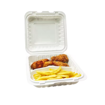 Aoyi Custom Plastic RPET PP Lunch Box z 2 przedziałami dla burgera i frytek