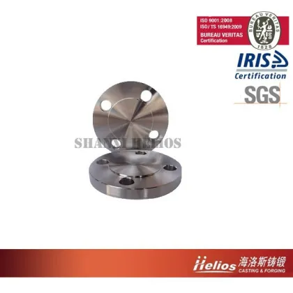 Forging blind flange from Shanxi Helios