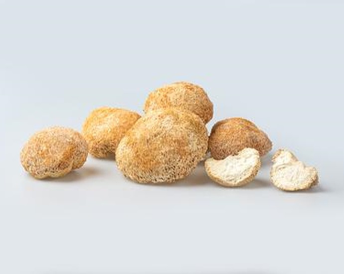 Lion’s Mane Mushroom