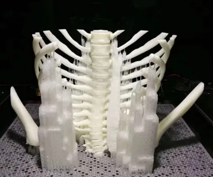 3d Printing Samples Model
