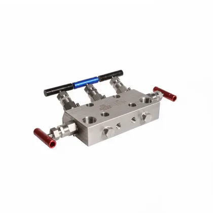 6000psi Stainless Steel Instrument Air 5-Valve Manifold with Needle Valve