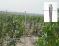 Vineyard Metal Trellis Post Wholesale Galvanized Steel