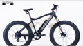 EBIKE BEDRIJF GROOTHANDEL 26*4.0 INCH 750W STRAND SNEEUW VETTE BAND ELEKTRISCHE FIETS