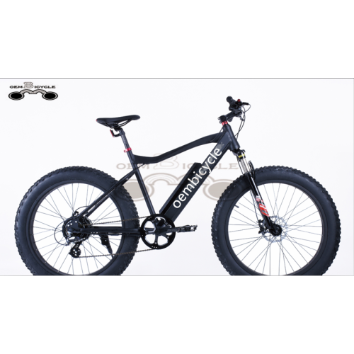 EBIKE COMPANY VENTA AL POR MAYOR 26 * 4.0 PULGADAS 750W PLAYA NIEVE GRASA LLANTAS BICICLETA ELÉCTRICA