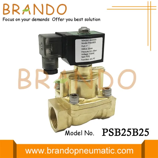1'' Brass Steam Solenoid Valve 25 bar 24V 110V 220V