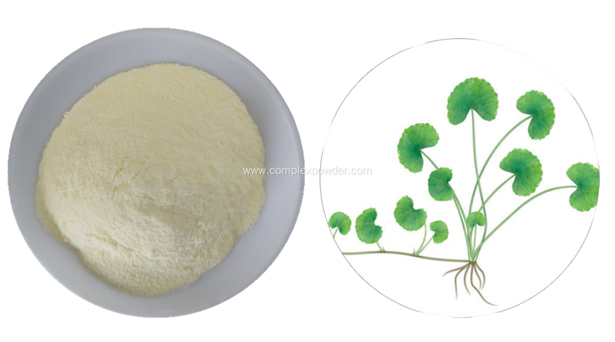 100% Natural water soluble Centella asiatica powder