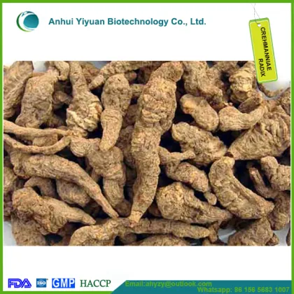 Rehmanniae radix and dihuang