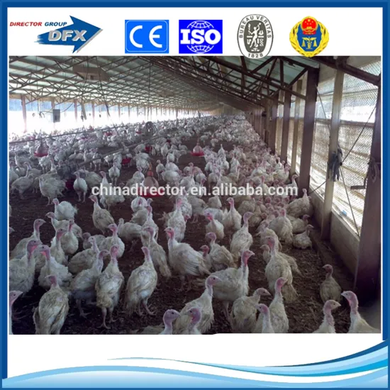 sandwich panel ceiling steel structure design poultry farm shed