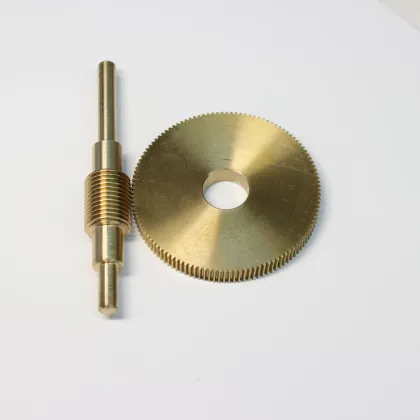 Customized CNC Machining Services for Small Worm Drive Gears in China