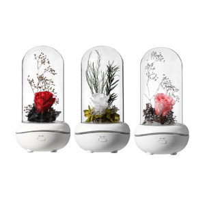 Home flower Scent Diffuser perfume glass bottle