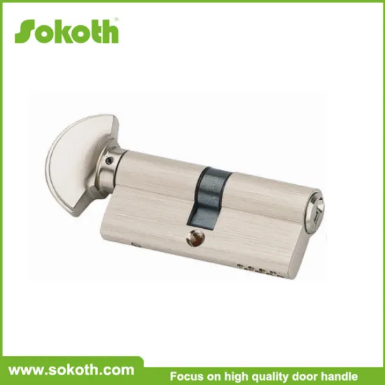 WenZhou Manufacturer Zinc Door Euro Profile Cylinder Lock
