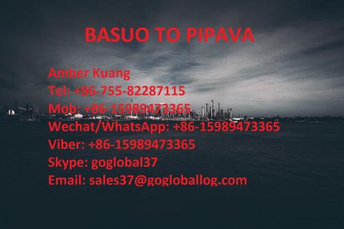 Hainan Basuo Sea Freight en Inde Pipava