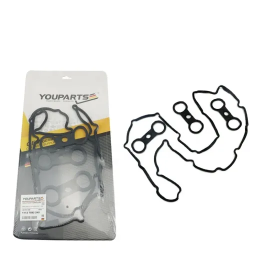 YOUPARTS RTS 11 12 7 582 245 Engine Valve Cover Gasket Set for BMW E60LCI F18 E66 F02 N52
