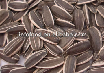 5009 Sunflower Seeds