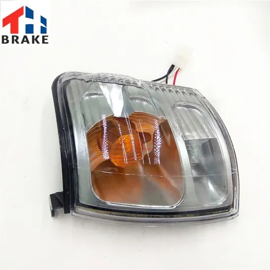 Great Wall Spare Parts: Turn Signal Lamp/Side Lamp for Great Wall Deer Safe