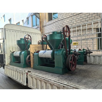 100 modelo de prensa de aceite de linaza