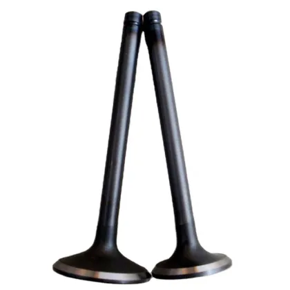 Inlet & Exhaust Valve for MITSUBISHI MD-127840/MD-127841