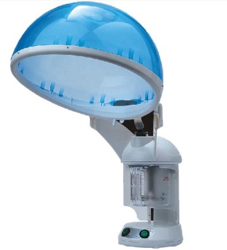 SY-FS100H 2-in-1 Family Use Hair Steamer and Facial Nano Mist
