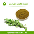 Hot Sell Mugwort Leaf Extract Aiye Leaf Powder