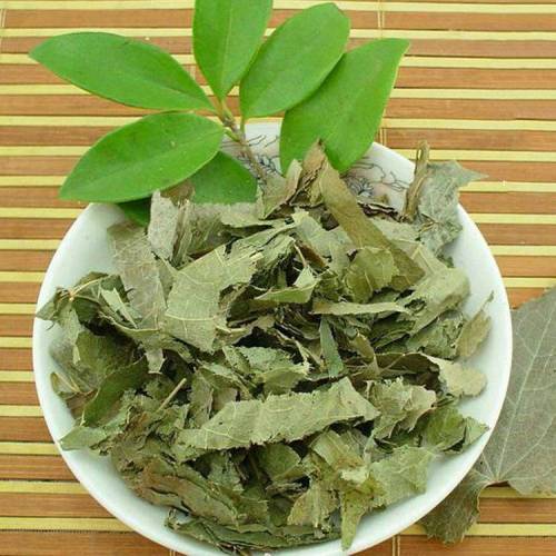 Epimedium Extract Powder Supply Epimedium Extract Horny Goat Weed Extract Powder Manufactory