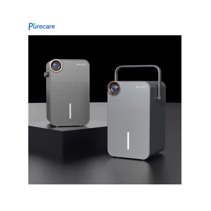2024 New Semiconductor Air Dry Portable Dehumidifier 1L with HEPA Filter