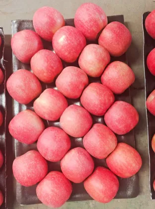 Red Lady Fresh Apples