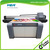 WER-EF1310UV with 2pcs dx5 1440dpi A0 UV printer
