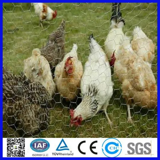 High quality galvanized chicken coop hexagonal wire mesh