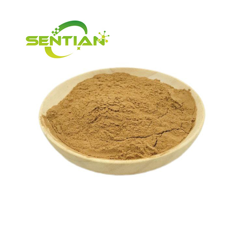 Male health products Cynomorium Songaricum herb extract