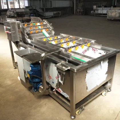 Carrot Bubble Washing Cleaning Machine