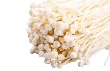 Flammulina velutipes enoki mushroom powder extract