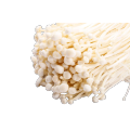  Chicken Leg Mushroom Flammulina velutipes enoki mushroom powder extract Factory