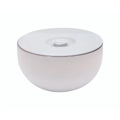 New Insulated Serving Bowl with Lid: Perfect for Keeping Food Warm