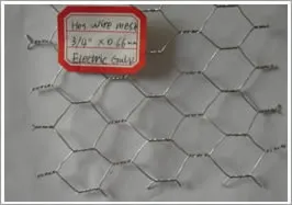 Hexagonal Wire Netting