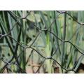 Acero inoxidable Zoo Wire Mesh